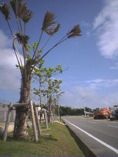 2005/10/2 PM3:13 �얞���`