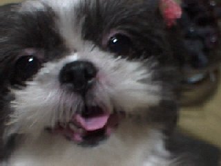 ���݂�ł��I