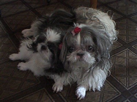 親子でツーショット!