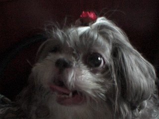 �����B�[�ł��I